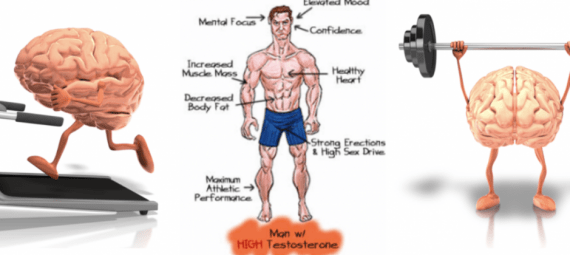 ALPHA-MALE-FULL-BODY-WORKOUTS-EXERCISE-YOUR-MIND-BODY-SEXUAL-TESTOSTERONE-LEVEL-MALE-ALPHA-VS-BETA-BENEFITS-RESULTS-RUNNING-EXERCISNG-SEX-WORKING-OUT-BRAIN-MUSCLE-ALFA-STALLION