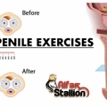 BEST-PENILE-EXERCISES-FOR-STAGE-3-ERECTIONS-GROWTH-ONLY-HERE-JELQING-PC-MUSCLE-WORKOUT-EXERCISING-PENIS-ENLARGEMENT-STRETCHING-PULLING-STAGE-3-ERECTION-ALFA-STALLION