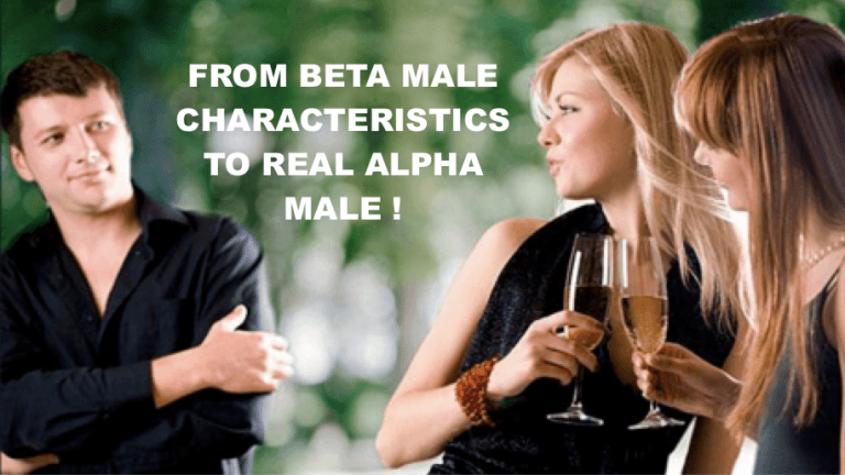 what makes a guy an alpha male