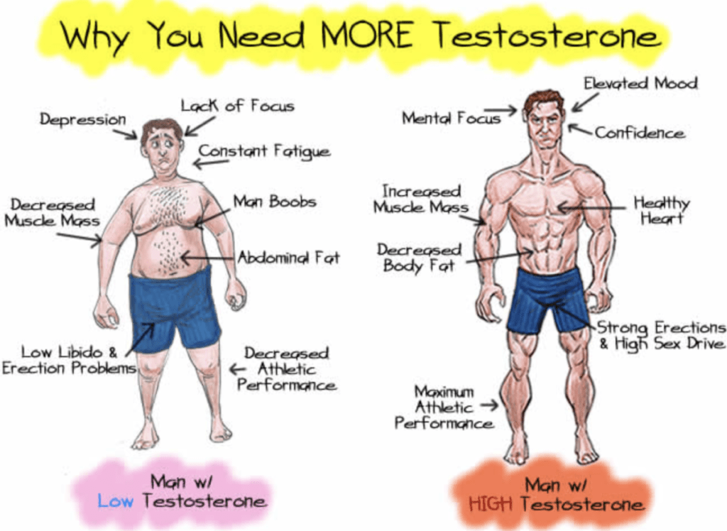 BEST-TESTOSTERONE-SUPPLEMENTS-BOOSTERS-THAT-GIVE-RESULTS-PROVEN-TESTO-PILLS-BOOSTING-SUPPLEMENT-INGREDIENTS-BEFORE-AFTER-PHOTOS-RESULTS-REVIEW-PROVEN-SAY-NO-TO-STEROIDS-NATURALLY-ALFA-STALLION