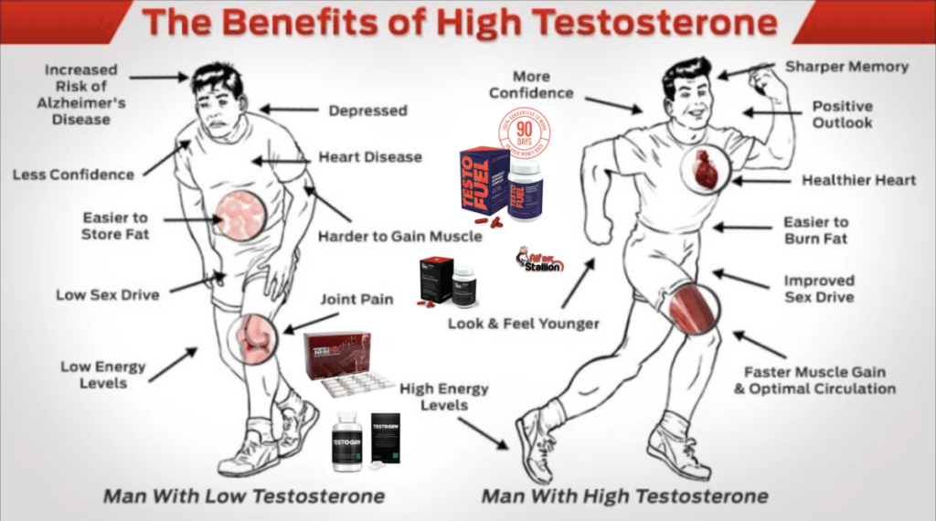 BEST-TESTOSTERONE-SUPPLEMENTS-BOOSTERS-THAT-GIVE-RESULTS-PROVEN-TESTOFUEL-PILLS-BOOSTING-SUPPLEMENT-INGREDIENTS-BEFORE-AFTER-PHOTOS-RESULTS-REVIEWS-CERTIFIED-REAL-ALFA-STALLION