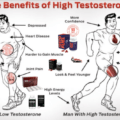 BEST-TESTOSTERONE-SUPPLEMENTS-BOOSTERS-THAT-GIVE-RESULTS-PROVEN-TESTOFUEL-PILLS-BOOSTING-SUPPLEMENT-INGREDIENTS-BEFORE-AFTER-PHOTOS-RESULTS-REVIEWS-CERTIFIED-REAL-ALFA-STALLION