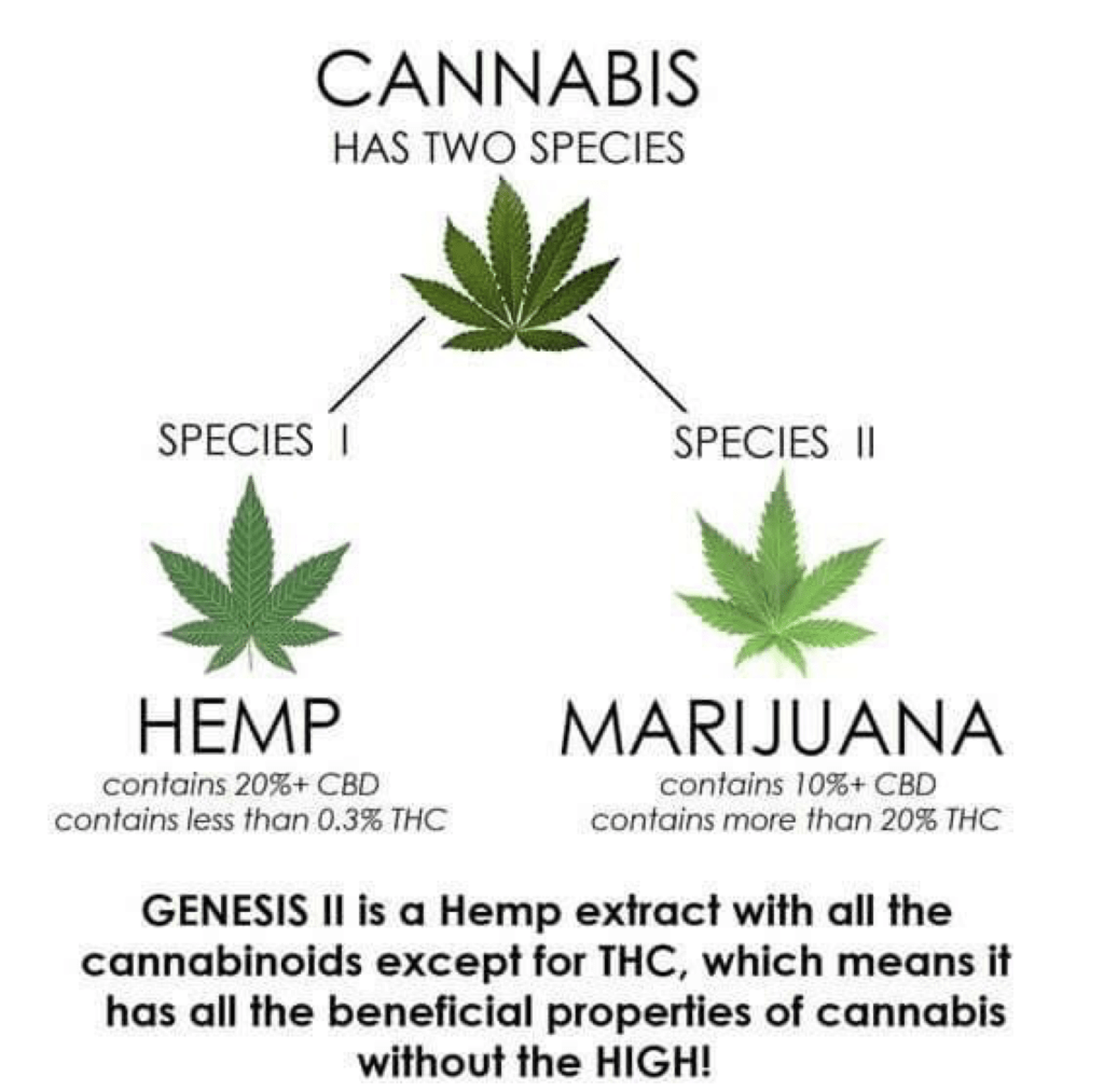 WHY-CANNABIS-SHOULD-BE-LEGAL-AT-ALL-COSTS-MIRACLE-PLANT-ONLY-HERE-MARIJUANA-BUD-WEED-SMOKING-POT-SMOKE-HEMP-ALFA-STALLION