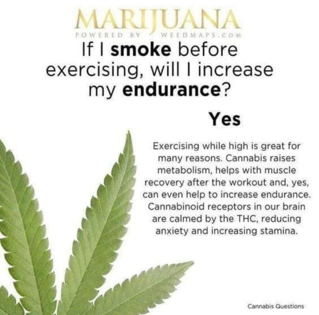 WHY-CANNABIS-SHOULD-BE-LEGAL-AT-ALL-COSTS-MIRACLE-PLANT-ONLY-HERE-MARIJUANA-BUD-WEED-SMOKING-POT-SMOKE-HEMP-JOINT-BLUNT-HELPS-TREAT-ENHANCE-MINDSET-BUD-ALFA-STALLION