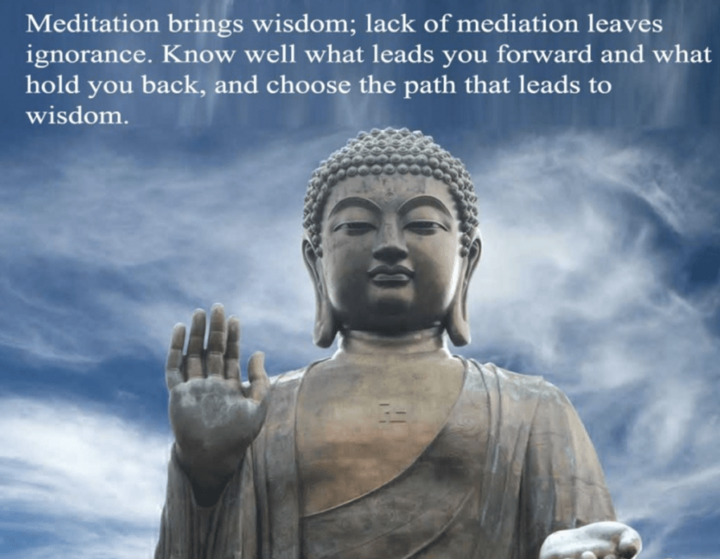 WHY-YOU-NEED-TO-MEDITATE-EVERY-DAY-HOW-TO-MEDITATE-THE-CORRECT-WAY-SEE-HERE-MEDITATION-MEDITATING-BENEFITS-ADVANTAGES-IMPROVEMENTS-SELFNESS-ALFA-STALLION