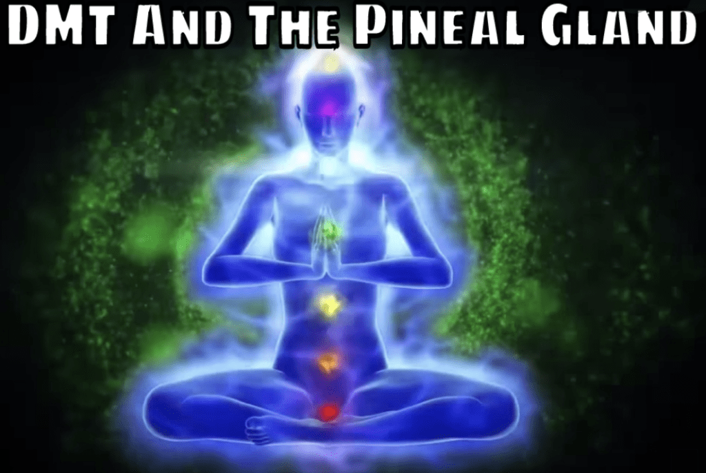 HOW-TO-ACTIVATE-PINEAL-GLAND-KNOWN-AS-OPENING-THIRD-EYE-HIGHER-SELF-INTUITION-DMT-MELATONIN-SERATONIN-INTUITION-POWERFUL-DMT-CHAKRA-ALFA-STALLION