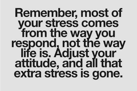 HOW-TO-BE-A-STRESS-FREE-PERSON-BEST-TECHNIQUE-THAT-TRULY-WORKS-SEE-HERE-STRESSED-STRESSFUL-ATTITUDE-ALFA-STALLION