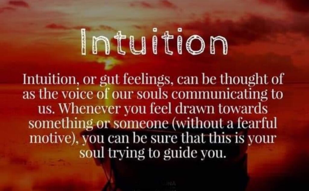 HOW-TO-TRUST-YOUR-GUT-INSTINCTS-WHY-YOU-MUST-FOLLOW-YOUR-INTUITION-STEPS-RIGHT-HERE-THIRD-CHAKRA-HIGHER-SELF-WISDOM-LOVE-SPIRIT-ENERGY-INTUITIVE-ALFA-STALLION